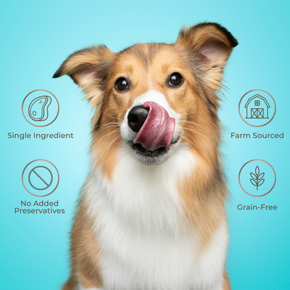 Wild Protein Beef Liver Dog Treats 4 oz